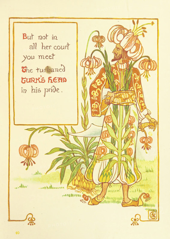 But not in all her court you meet The turbaned Turk's Head in his pride, 1899.  Creator: Walter Crane.