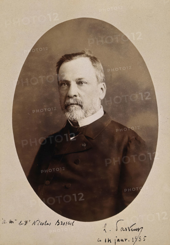 Louis Pasteur. Creator: Alphonse J. Liébert.