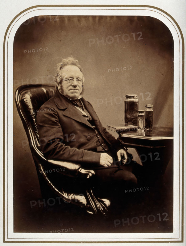 John Edward Gray. Creator: Maull & Polyblank.