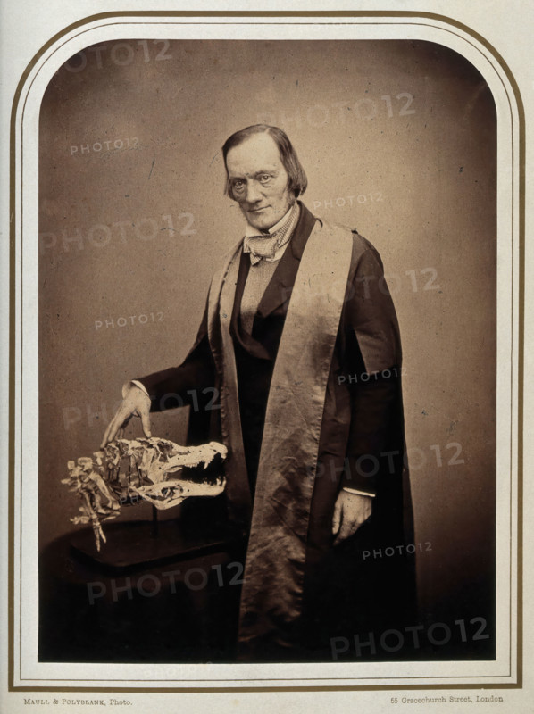 Sir Richard Owen. Creator: Maull & Polyblank.