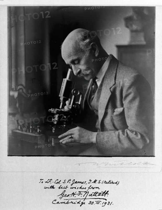 George Henry Falkiner Nuttall, 1931. Creator: T Whitlock.