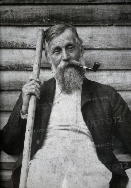 Sir Michael Foster. Creator: Unknown.