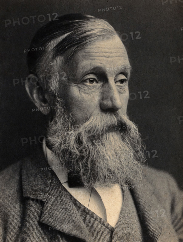 Sir Michael Foster. Creator: Unknown.
