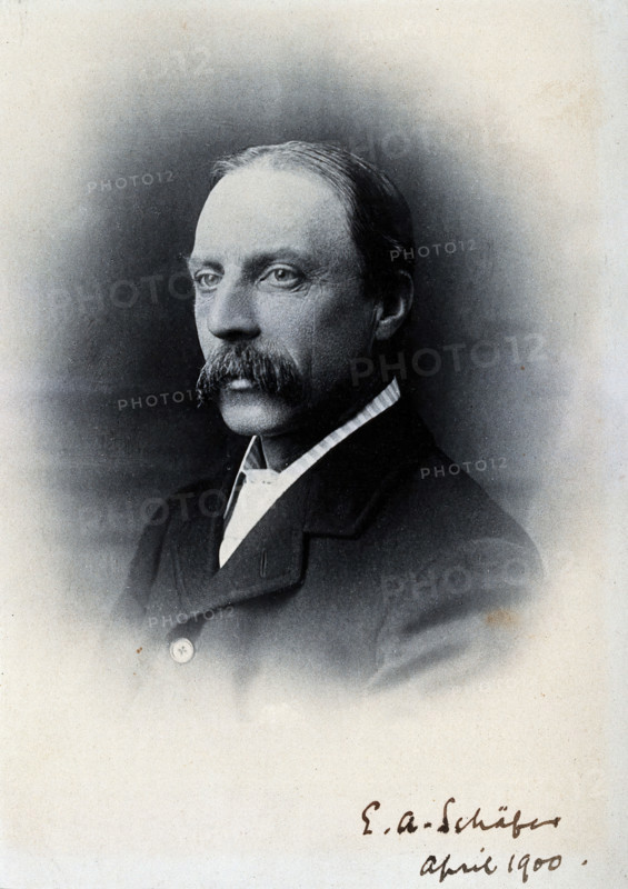Sir Edward Albert Sharpey-Schafer, 1900. Creator: Unknown.