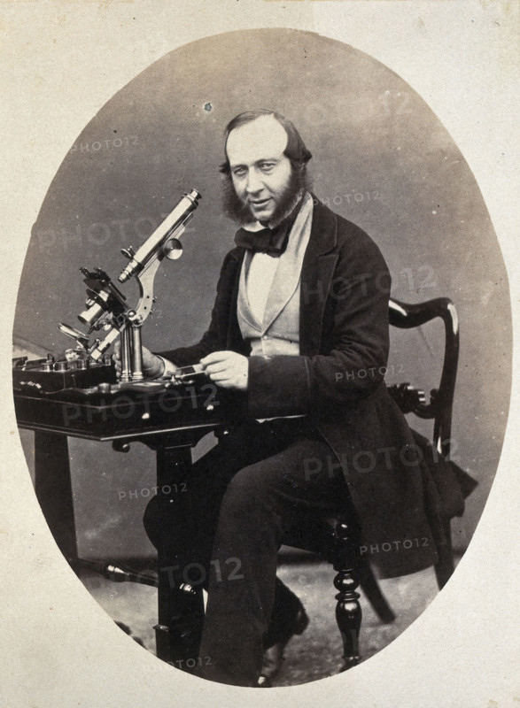 George Shadbolt. Creator: Unknown.