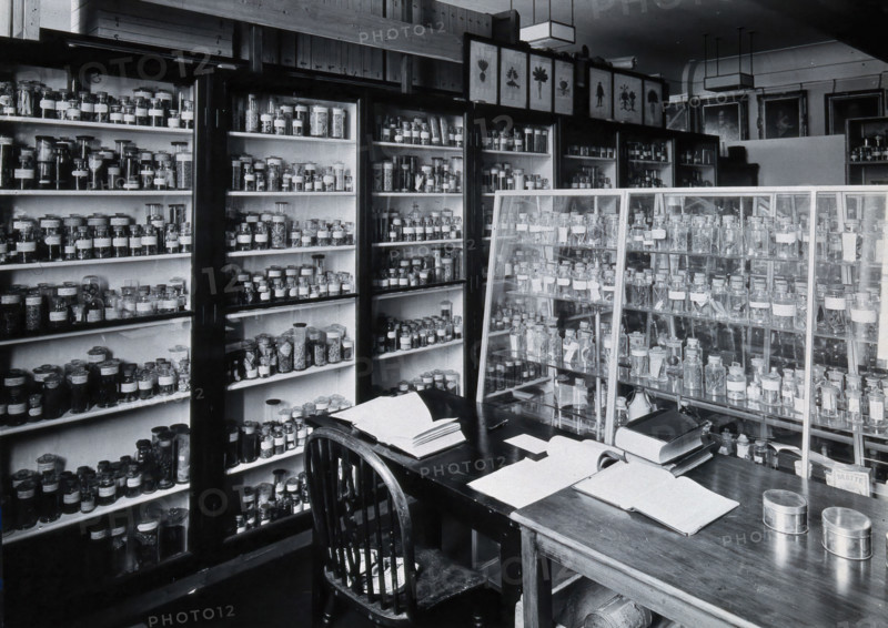 The Wellcome Building, Euston Road, London: working area in the materia medica stores, c1930s.. Creator: Unknown.