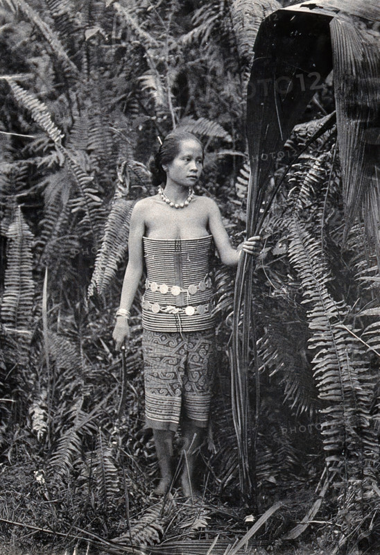 Sarawak: a girl picking leaves for use as fibres, c1900. Creator: Unknown.