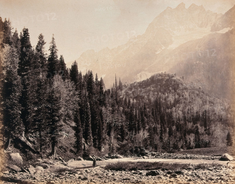 Kashmir: a mountain valley and forest, between 1800 and 1899. Creator: Samuel Bourne.