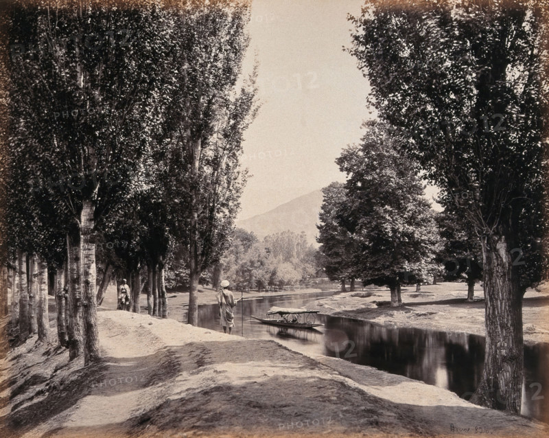 Kashmir: a tree-lined path by a canal, c1870s. Creator: Samuel Bourne.