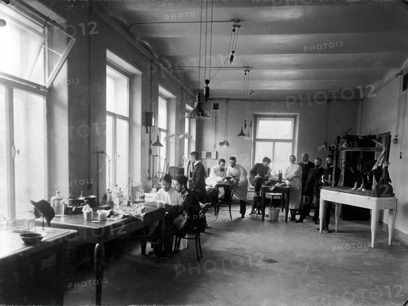 Ten members of staff studying and performing experiments on dogs in the Physiology..., 1904. Creator: Unknown.