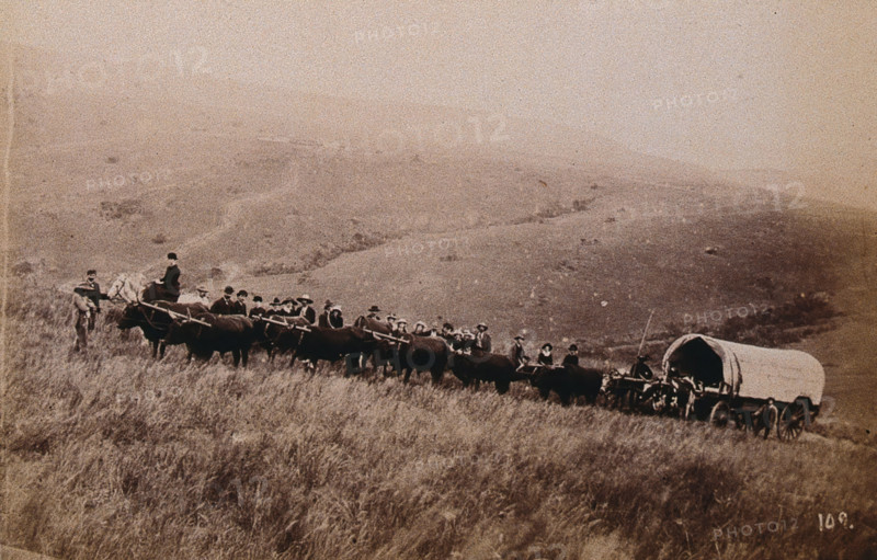 South Africa: landscape with people, a wagon and oxen in the foreground, 1896. Creator: Unknown.