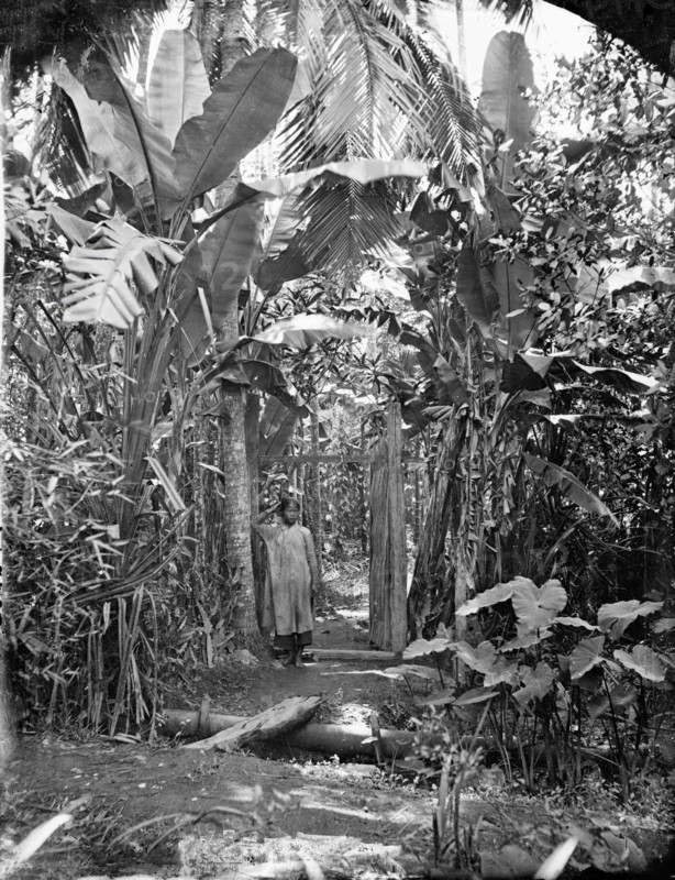 Annam, Cochin China (Vietnam), 1867. Creator: John Thomson.