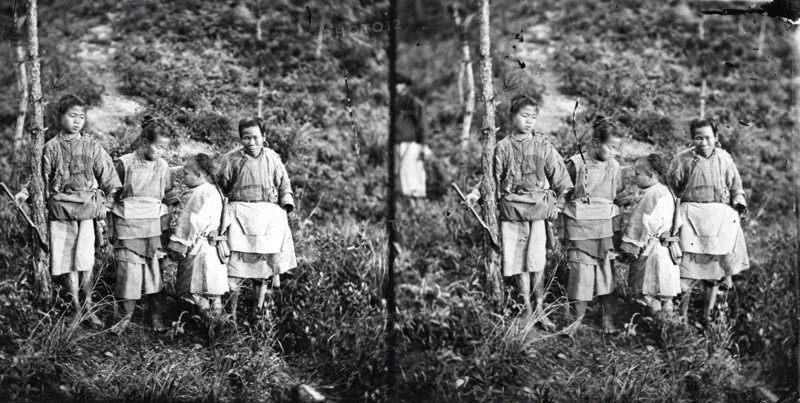 Formosa [Taiwan], 1871. Creator: John Thomson.