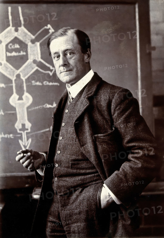 Louis Cobbett, 1907. Creator: Unknown.