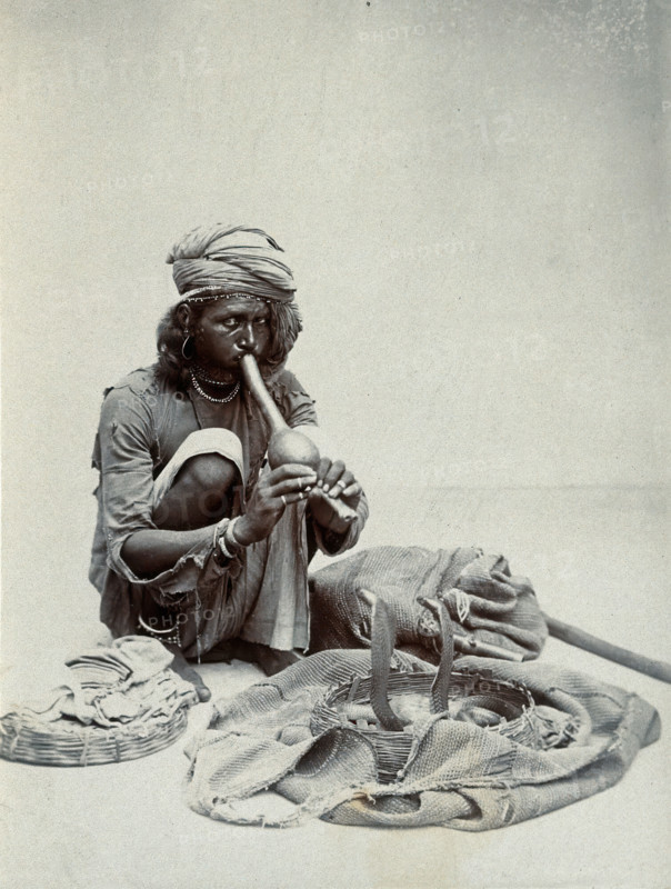 An Indian snake charmer squatting down playing his pipe, with two cobras in a basket in..., c1900. Creator: Unknown.