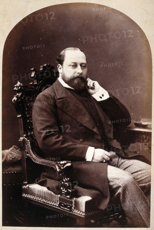 Albert Edward, HRH the Prince of Wales, 1881. Creator: George Milner Gibson Jerrard.
