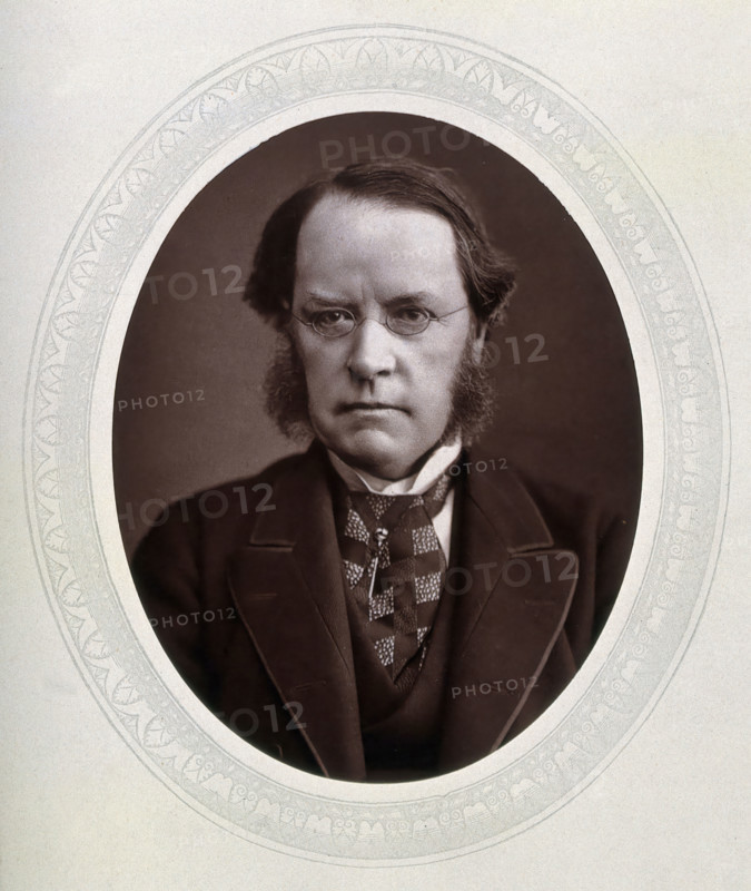 Lyon Playfair, 1st Baron Playfair, late 19th century.  Creator: Lock & Whitfield.