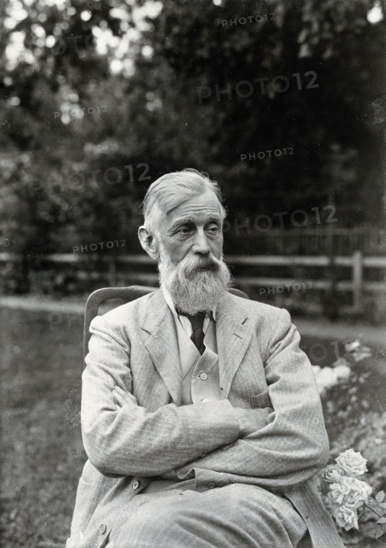 Sir Michael Foster, c1905. Creator: Louis Cobbett.