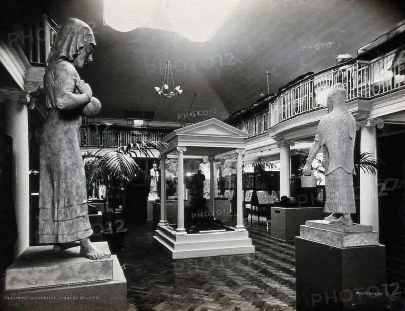 Wellcome Historical Medical Museum, Wigmore Street, London: the galleried Hall of Statuary. Creator: Unknown.