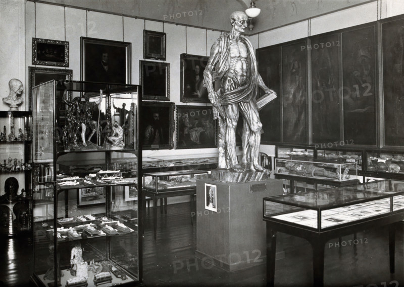 Wellcome Historical Medical Museum, Wigmore Street, London: anatomy room on the first floor. Creator: Unknown.