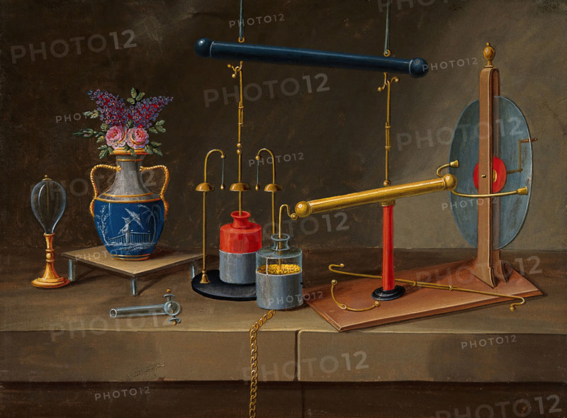 Electricity: condenser jars, an electro-static generator, and a vase with flowers, (18--?). Creator: Paul Lelong.