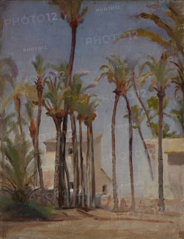 Spain (Elche), 1899. Creator: Jan Ciaglinski.