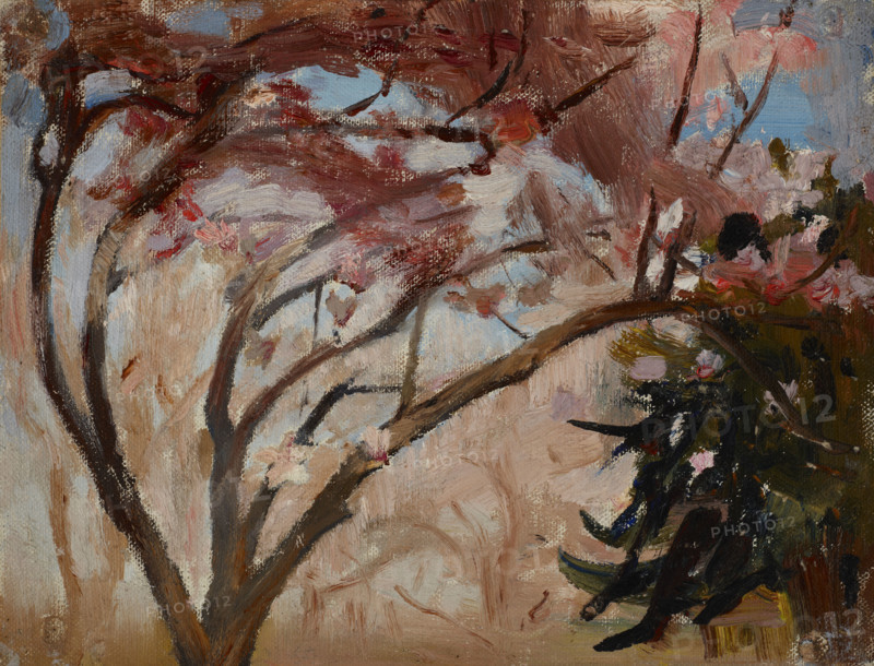 Crimea (Magnolia), 1904. Creator: Jan Ciaglinski.