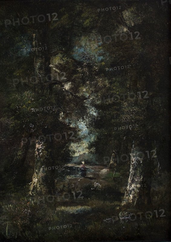 Landscape (Path in the Woods), between 1865-1870. Creator: Narcisse Virgile Diaz de la Pena.