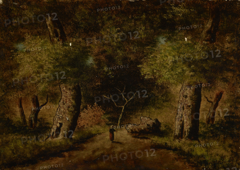 Landscape, second half of 19th century. Creator: Unknown.