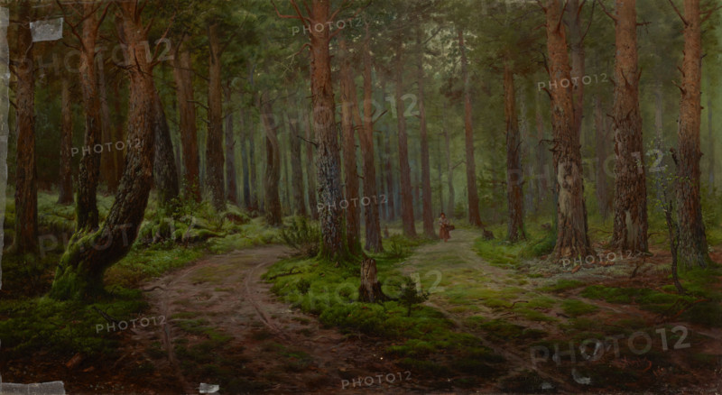 Forest Landscape, 1894. Creator: Karl Klopfer.