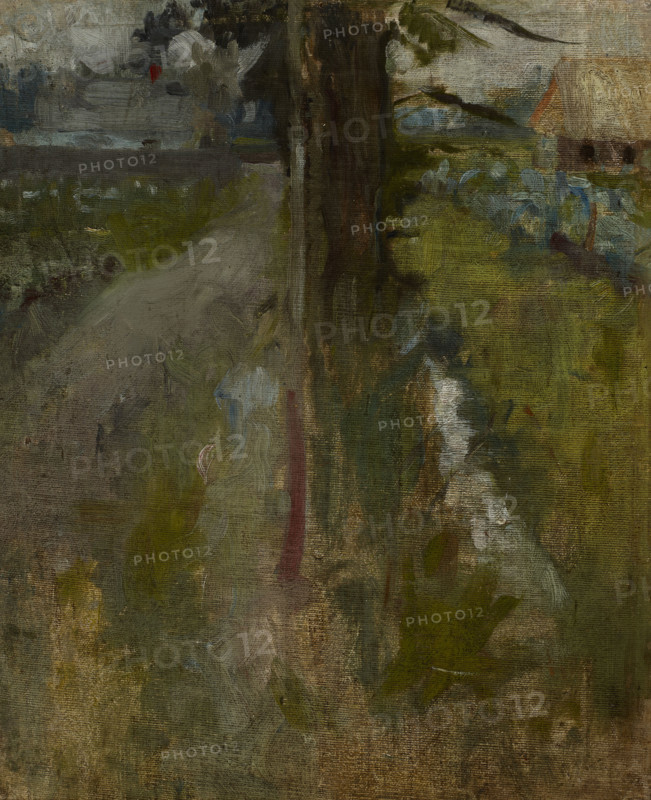 Landscape Motif, c1890. Creator: Olga Boznanska.