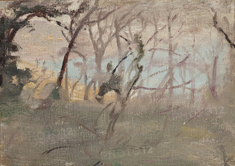 View towards Yalta, 1906. Creator: Jan Ciaglinski.