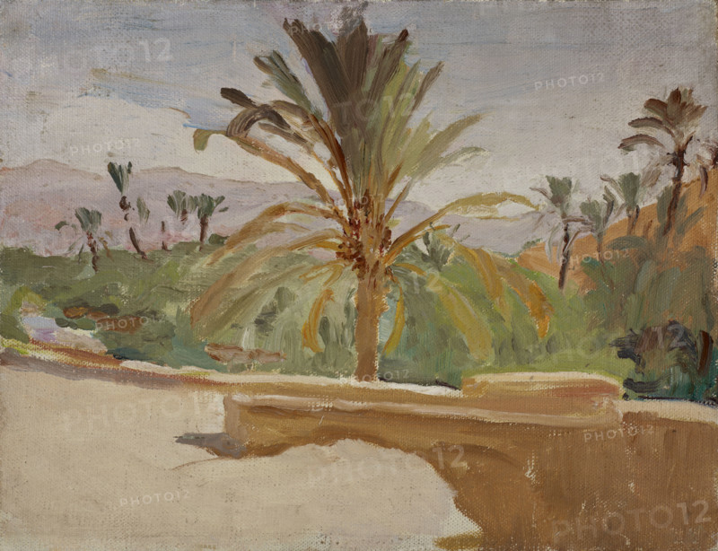 Biskra (Oasis with Palm Trees), 1909. Creator: Jan Ciaglinski.