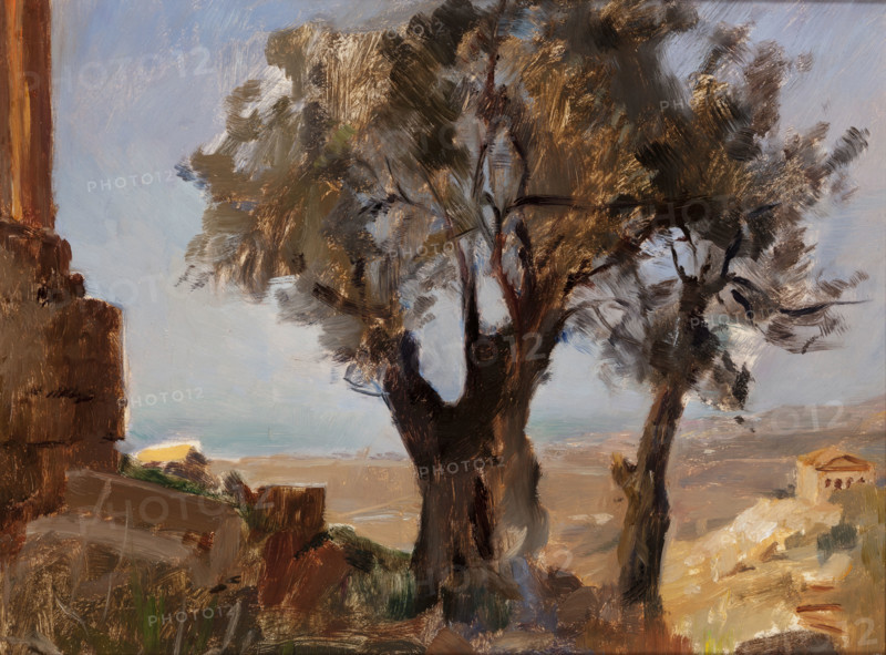Girgenti (Trees), before 1890. Creator: Jan Ciaglinski.
