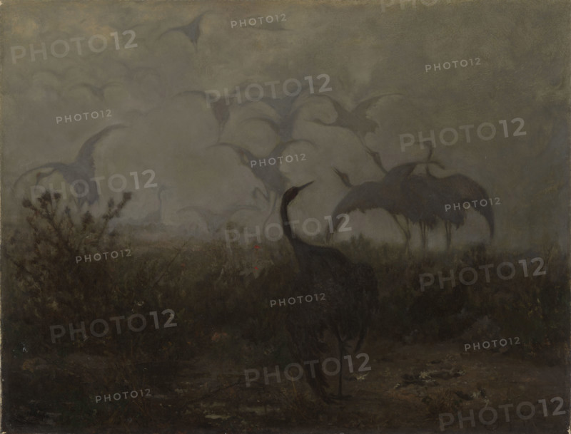 Cranes, 1870. Creator: Jozef Chelmonski.