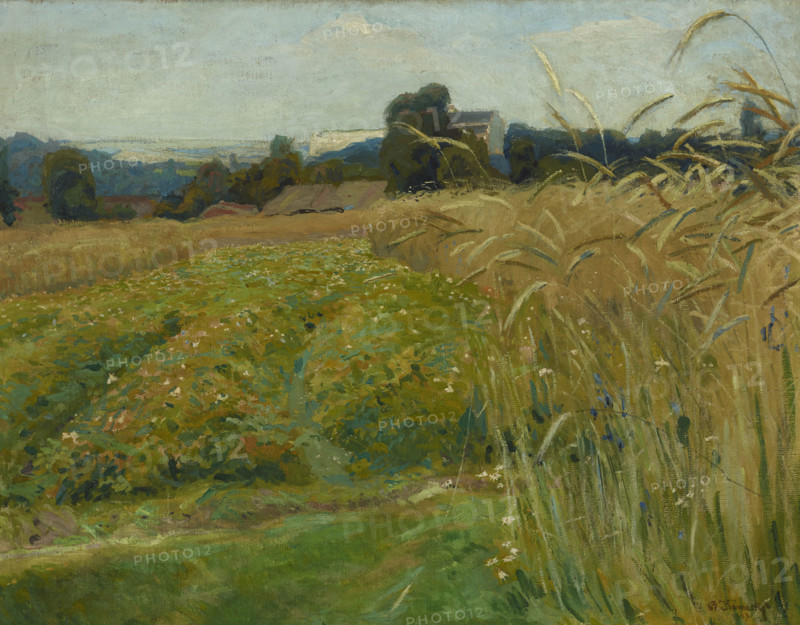 Landscape from the Vicinity of Krakow, 1903. Creator: Stanislaus Kamocki.
