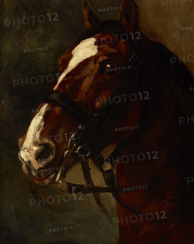 Bay Horse's Head, between 1833-1834. Creator: Piotr Michalowski.