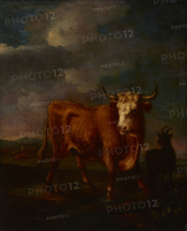 Landscape with a Bull, 17th century. Creator: Unknown.