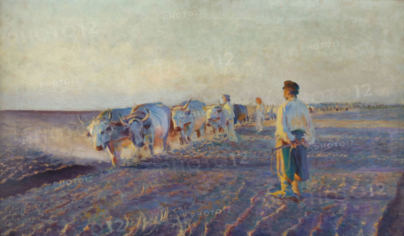 Plowing in the Ukraine, 1892. Creator: Leon Wyczolkowski.
