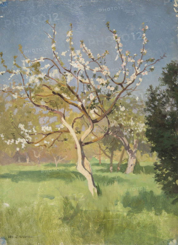 Apple-Tree in Blossom, 1897. Creator: Jan Stanislawski.