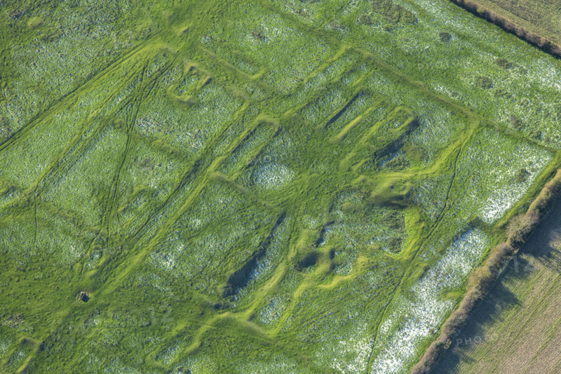 The earthwork remains of part of the deserted medieval village of Gainsthorpe...Lincolnshire, 2024 Creator: Robyn Andrews.