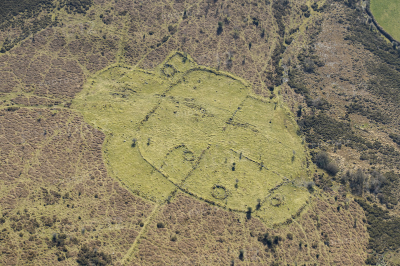An enclosed stone hut circle  settlement on Buckland Common, Dartmoor, Devon,  2025. Creator: Damian Grady.