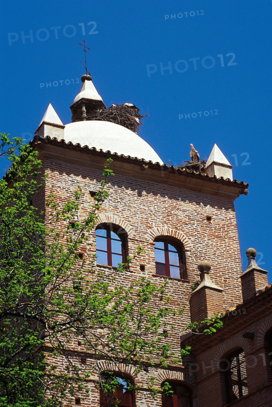 Architectural detail, Toledo-Moctezuma Palace, Cáceres, Extremadura, Spain, 2008.  Creator: LTL.
