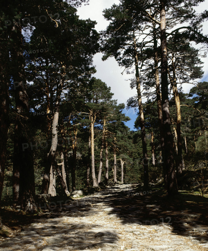 Remains of the Roman road of Cercedilla, Community of Madrid, Spain, 2008.  Creator: LTL.