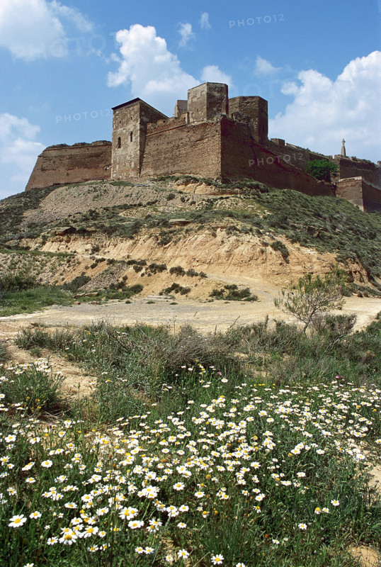 Monzón Castle, Aragon, Spain. 2008.  Creator: LTL.