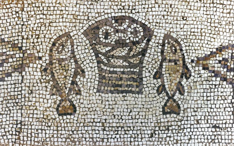 Floor mosaic, Church of the Multiplication, Tabgha, Galilee, Israel, 5th century (2008). Creator: Unknown.