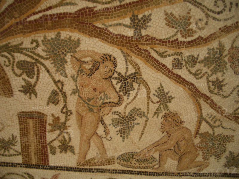 Mosaic, El Jem Museum, El Djem, Tunisia, 2009. Creator: Amanda Waite.