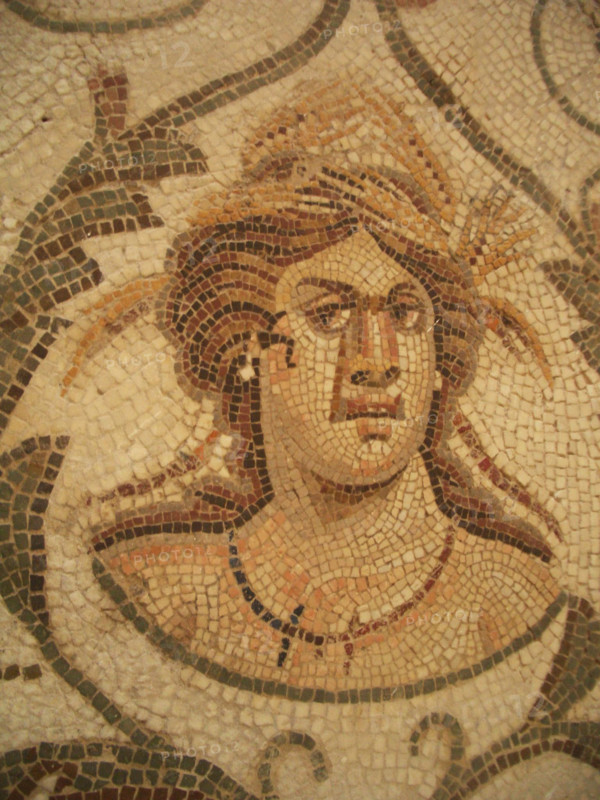 Mosaic, El Jem Museum, El Djem, Tunisia, 2009. Creator: Amanda Waite.