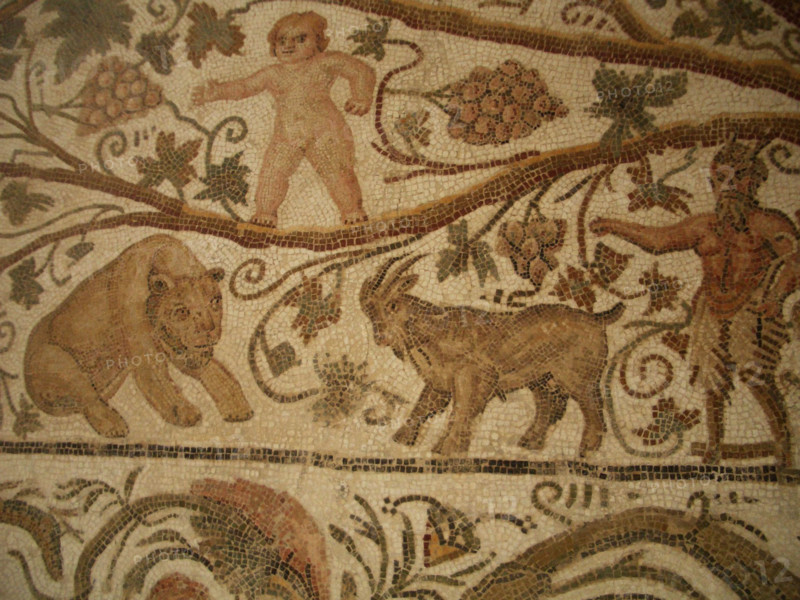 Mosaic, El Jem Museum, El Djem, Tunisia, 2009. Creator: Amanda Waite.