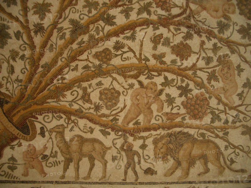 Mosaic, El Jem Museum, El Djem, Tunisia, 2009. Creator: Amanda Waite.